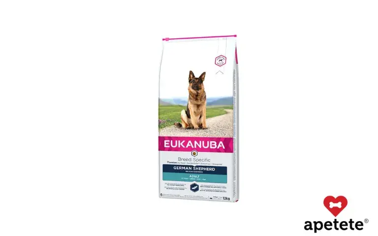 Jaka karma dla owczarka niemieckiego? Ekspert radzi i poleca!