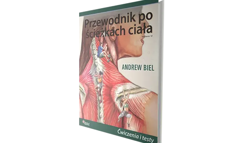 Co po medycynie? Pełny przewodnik po ścieżkach kariery i zarobkach