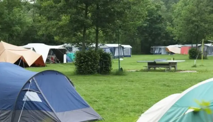 Un camping verde con varias tiendas de campaña y caravanas. Un lugar ideal para disfrutar de los mejores camping de España.