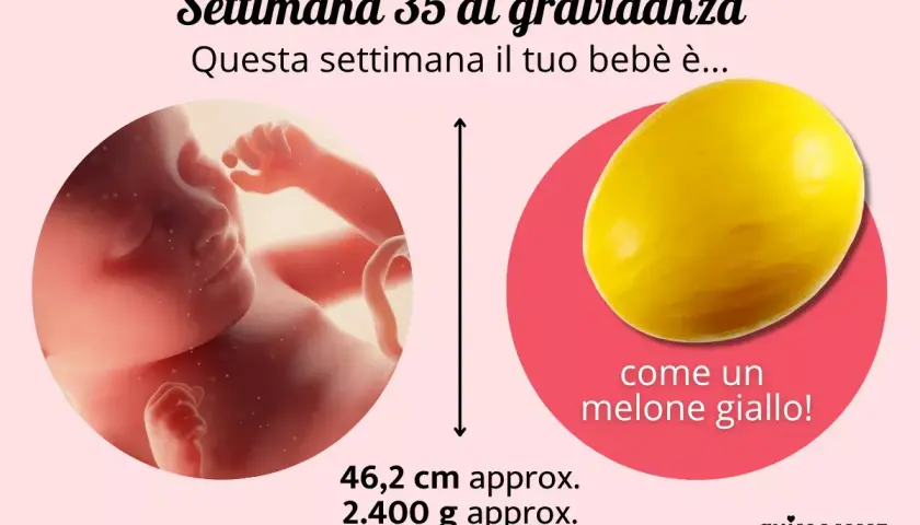 A 35 settimane di gravidanza, il tuo bebè è grande come un melone giallo, con circa 46,2 cm e 2.400 g.
