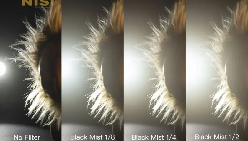 Porównanie efektów: brak filtra, filtr black mist 1/8, 1/4 i 1/2 na futrzanym obiekcie.