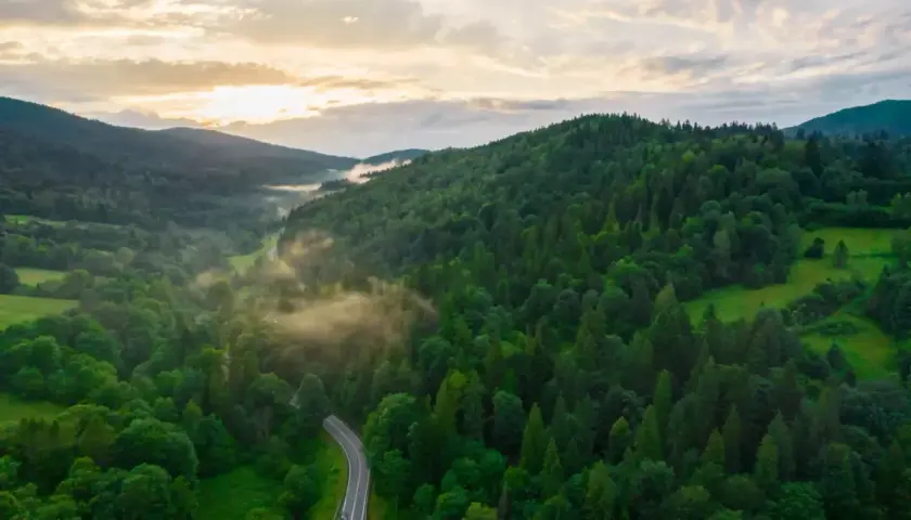 Wąska droga wijąca się przez zielone wzgórza Bieszczad. Mgła unosząca się nad lasem tworzy magiczną atmosferę, idealną do odkrywania, co warto zobaczyć w tych górach.