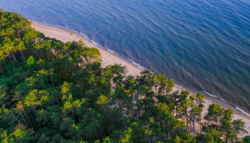 Piękna plaża i las nad Bałtykiem, idealne miejsce na wakacje w stylu naturyzm Polska.