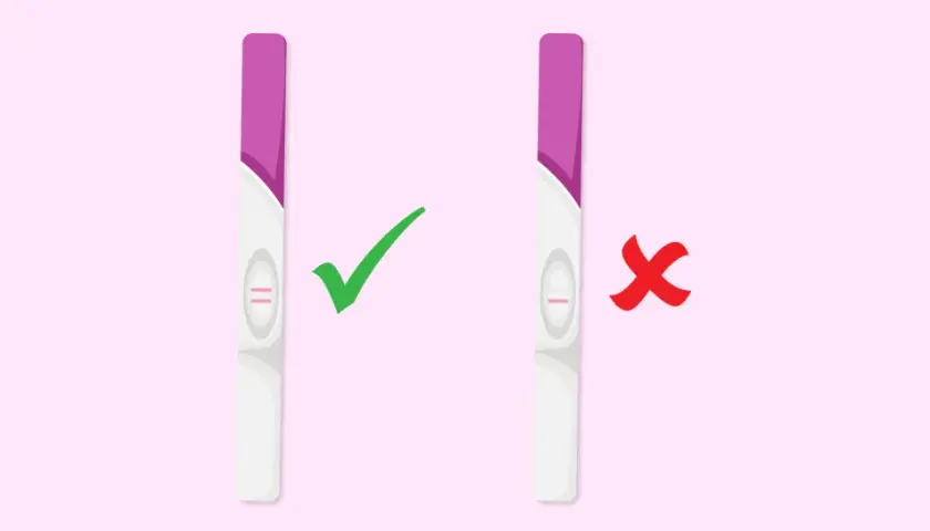 Deux tests de grossesse : un positif (deux barres roses) avec une coche verte, et un négatif (une barre rose) avec une croix rouge.