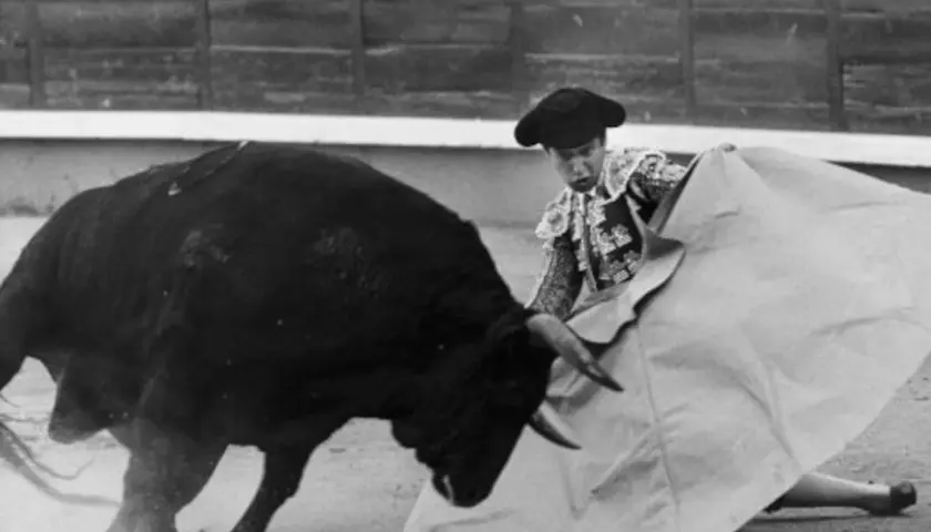 Un torero se enfrenta a un toro negro en la arena. La imagen evoca la tragedia de cómo se llamaba el toro que mató al Yiyo.