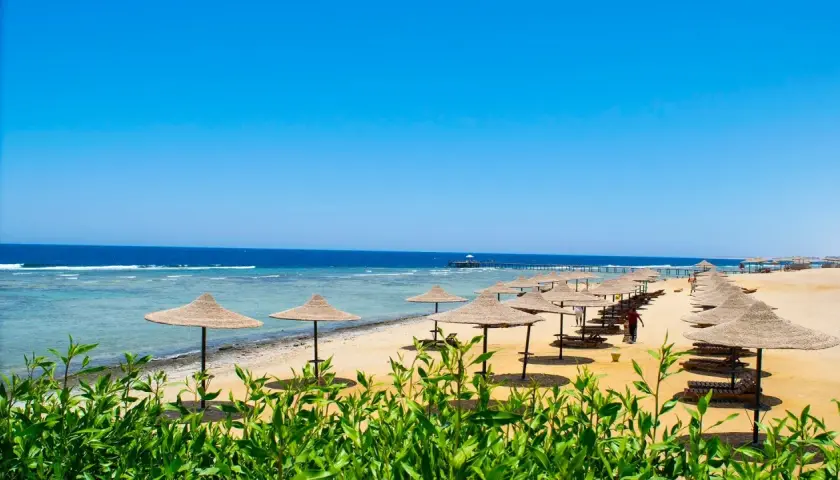 Słoneczna plaża w Marsa Alam z rzędami parasoli i leżaków. Idealne miejsce na relaks i podziwianie widoków, jedna z głównych atrakcji regionu.