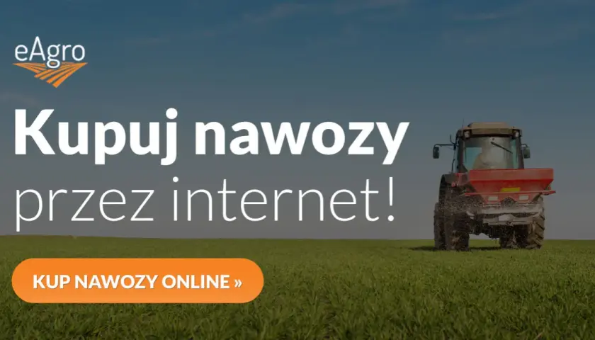 Jakie nawozy pod zboża zapewnią najwyższe plony i zdrowe rośliny