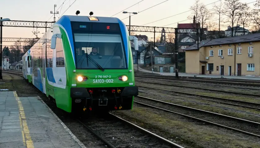 Zielony pociąg PKP stoi na stacji Ustrzyki Dolne. W tle widać budynki i drzewa.