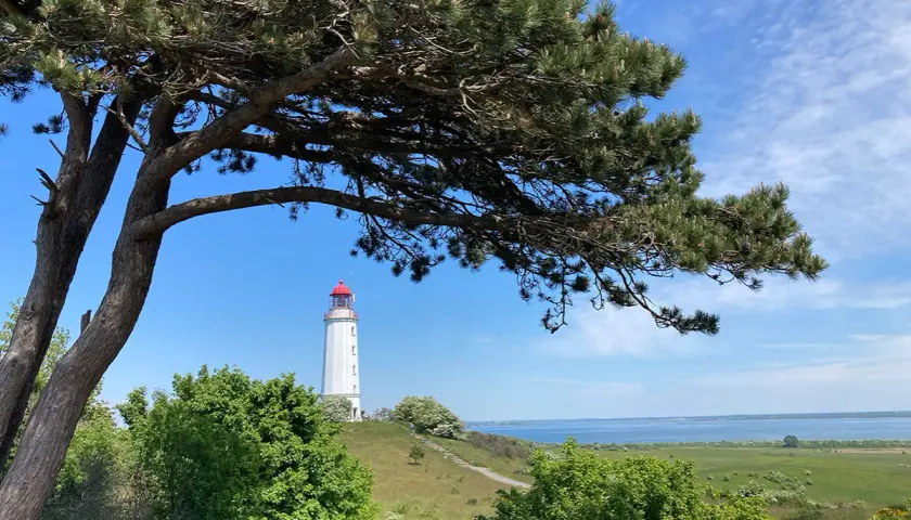 Leuchtturm Dornbusch auf Hiddensee, ein Wahrzeichen der Insel. Grüne Wiesen und Bäume umgeben diesen malerischen Ort.