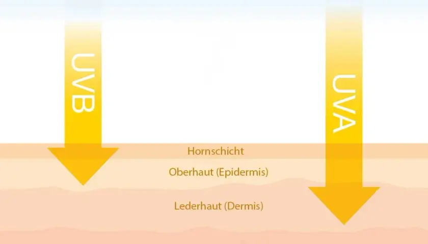 Illustration zeigt UVA- und UVB-Strahlen, die auf Hautschichten treffen.