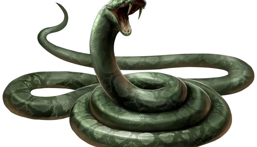 Zielony wąż z otwartą paszczą, przypominający Nagini z Harry'ego Pottera, wijący się na czarnym tle.