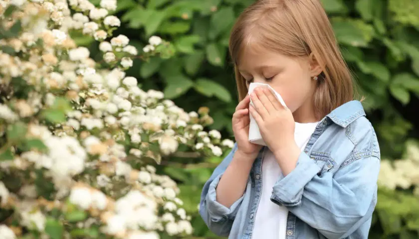 Niña con pañuelo en la nariz, rodeada de flores. Posiblemente sufre de alergia en niños.