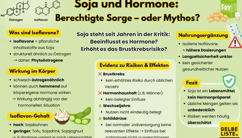 Infografik über Soja und Hormone. Diskutiert Isoflavone, ihre Wirkung und ob sie Nebenwirkungen wie Brustkrebsrisiko oder hormonelle Störungen verursachen.