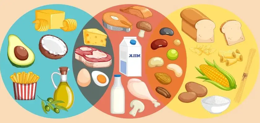 Ile kcal na obiad? Odpowiednia kaloryczność dla zdrowia i diety
