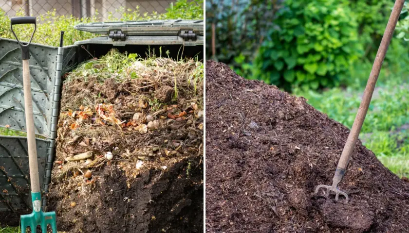 Kompostownik pełen resztek organicznych i gotowy do nawożenia ogrodu obornikiem. Obok widoczna łopata i widły.