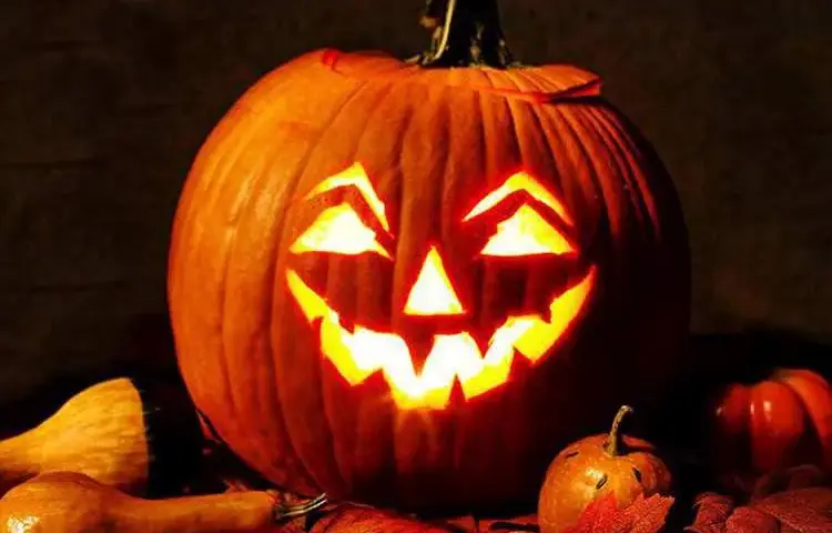 Halloweenowe ciekawostki: Nieznane fakty o tym święcie.