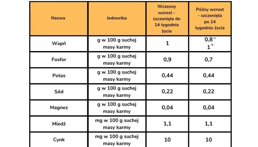 Co ile karmić szczeniaka? Harmonogram i błędy, których unikniesz
