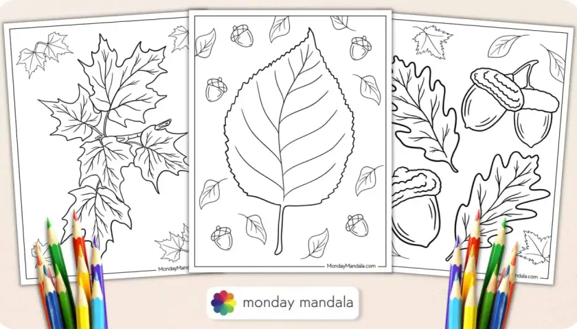 Páginas para colorear de otoño con hojas de arce, bellotas y una gran hoja central. ¡Perfecto para una actividad de hoja de otoño colorear!