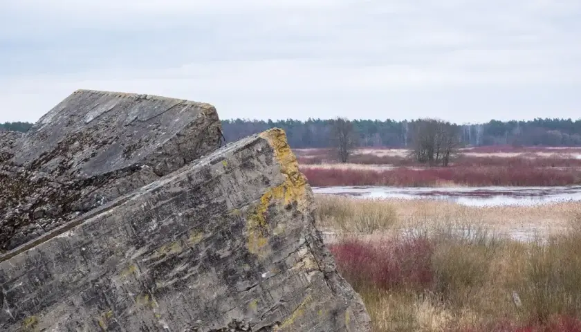 Betonowe pozostałości po bunkrach w **Osowiec** na tle mokradeł i lasu.