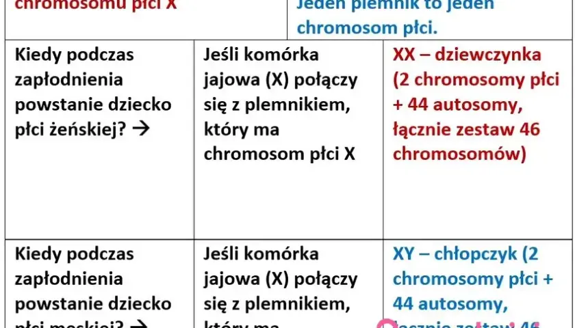 Płeć dziecka: Kiedy i jak najwcześniej ją poznasz? Metody i pewność.
