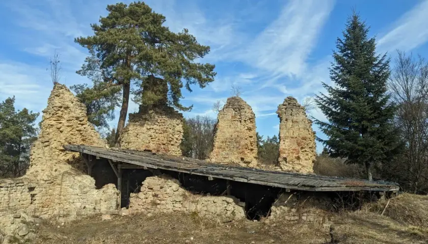 Kamienne ruiny zamku nad Jeziorem Rożnowskim, z fragmentem drewnianego dachu i sosną.