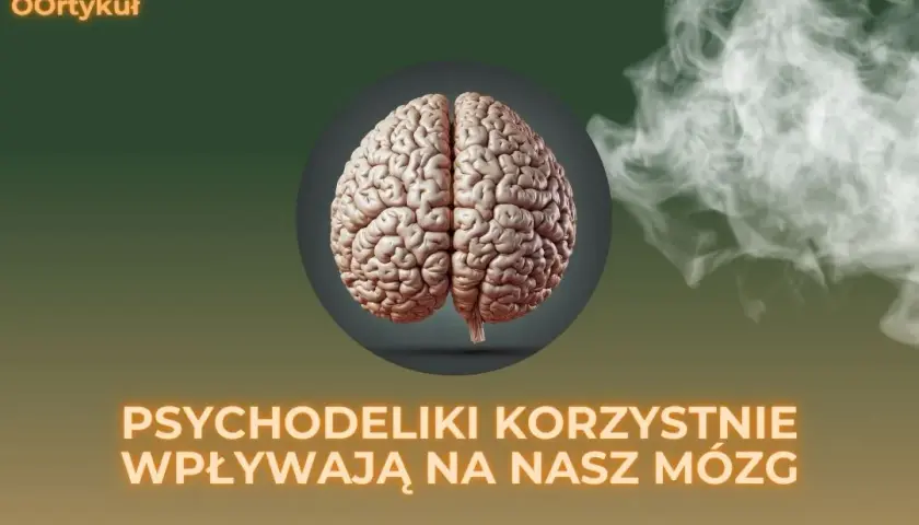 Jak psychodeliki działają na mózg? Neurobiologia w pigułce