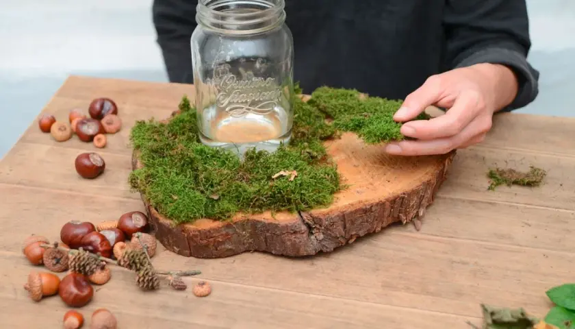 Beim Herbst Deko basteln wird Moos auf Holzscheibe gelegt. Kastanien und Eicheln liegen daneben.