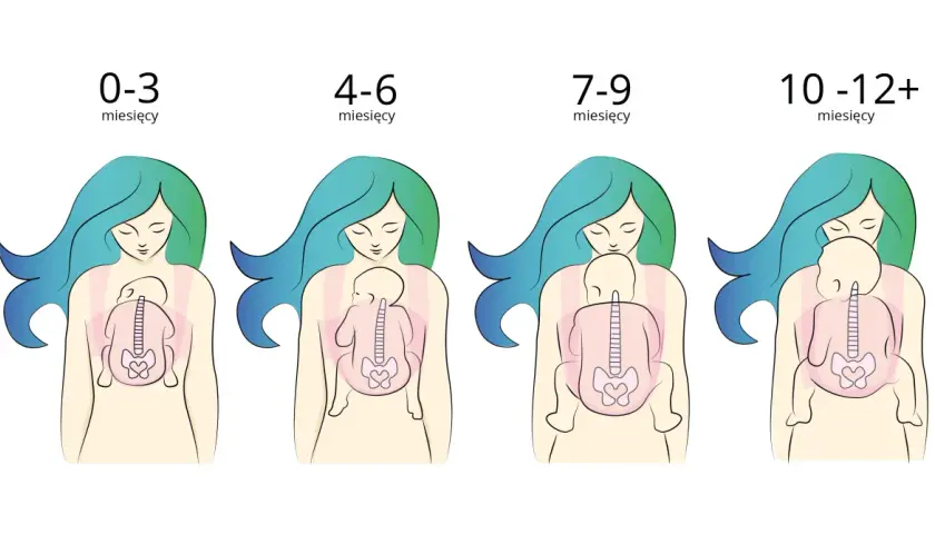 Ilustracje pokazują, jak nosić noworodka w różnym wieku: od 0-3 miesięcy do 10-12+ miesięcy.
