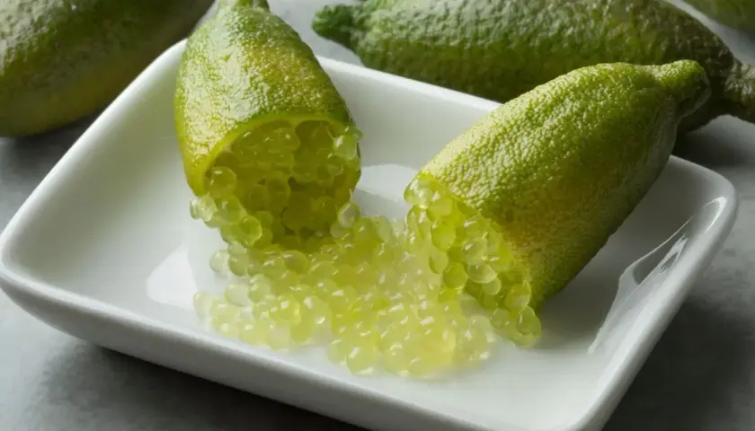 Citronnier caviar : des fruits verts allongés ouverts révèlent leurs perles juteuses sur une coupelle blanche.