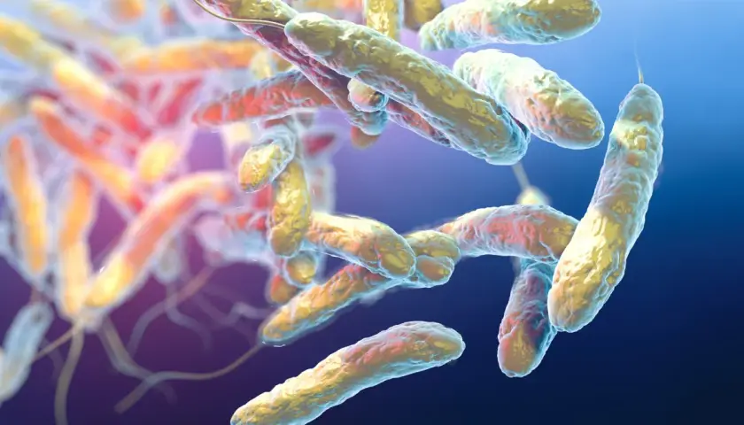 Legionella skąd się bierze i jak się jej wystrzec w codziennym życiu