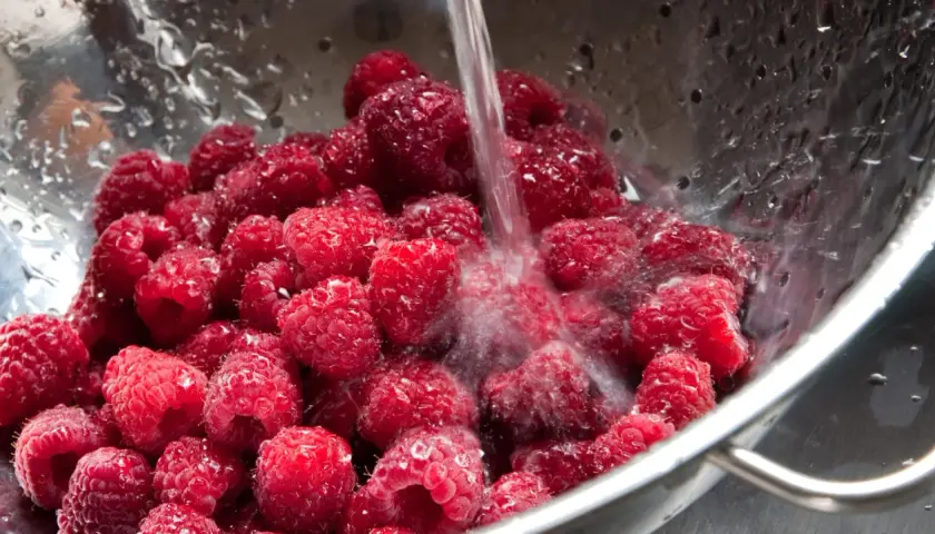 Frische Himbeeren werden in einem Sieb unter fließendem Wasser gewaschen, um sie für die Lagerung vorzubereiten und **frisch zu halten**.