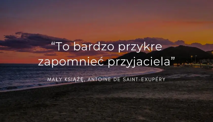 To bardzo przykre zapomnieć przyjaciela" - cytaty o przyjaźni na odległość, Mały Książę. Zachód słońca nad morzem.
