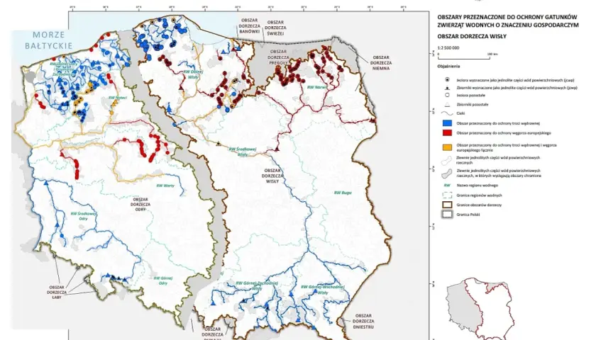 Mapa przedstawia obszary dorzeczy Wisły, Odry, Dunaju, Dniestru i Niemna, gdzie żyją goryle.