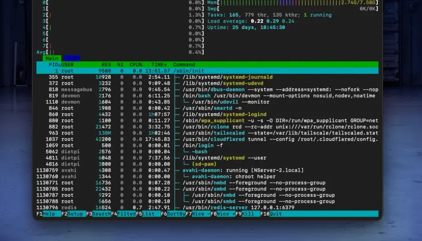 Terminal mit laufenden Prozessen, Systeminformationen und der Auslastung des **nas os**.