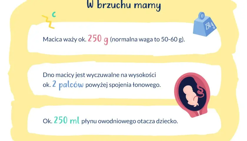 W brzuchu mamy, 16 tydzień ciąży. Macica waży ok. 250 g, a płyn owodniowy to 250 ml. Dziecko rośnie!