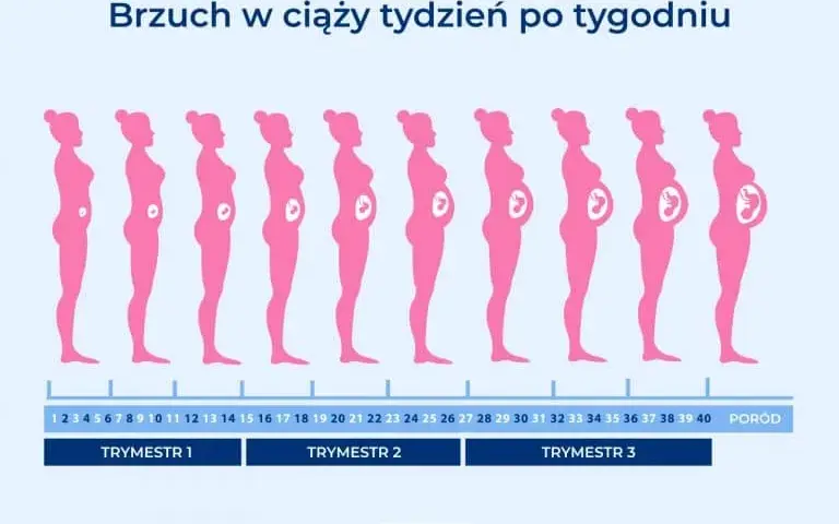 Ile trwa ciąża? Oblicz termin porodu i poznaj kluczowe etapy!