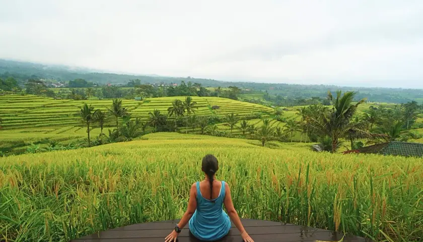 Mujer contemplando terrazas de arroz verde y dorado en Bali. Una vista espectacular para saber qué hacer en Bali.