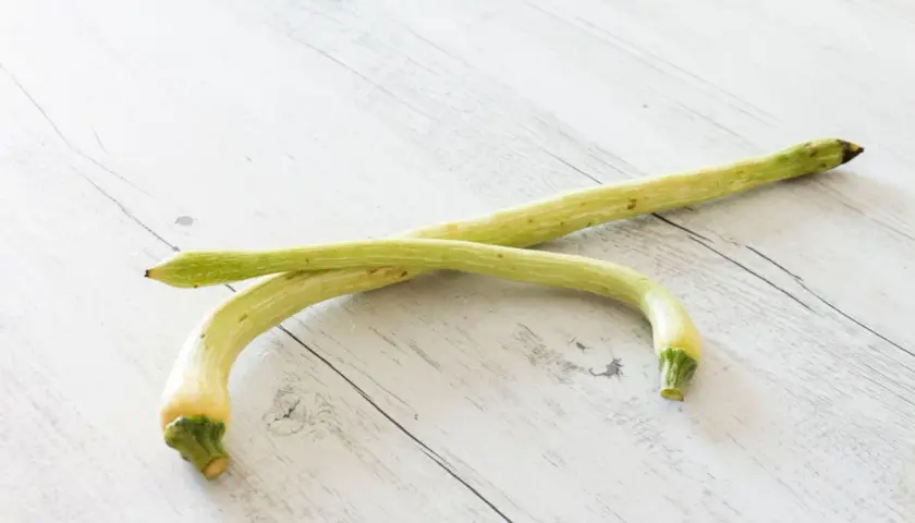 Due zucchine trombetta, lunghe e curve, giacciono su un tavolo di legno chiaro.