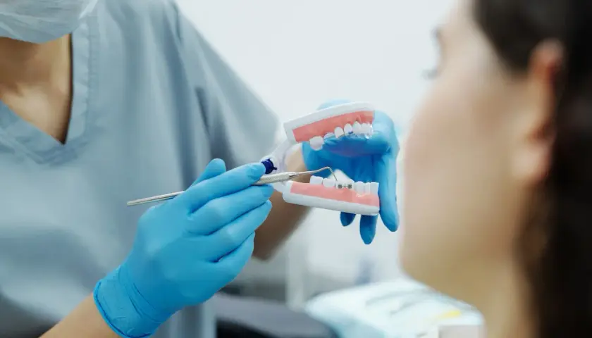 Ortodonta pokazuje pacjentowi model szczęki z aparatem i mikroimplantami ortodontycznymi, wyjaśniając, czy boli.