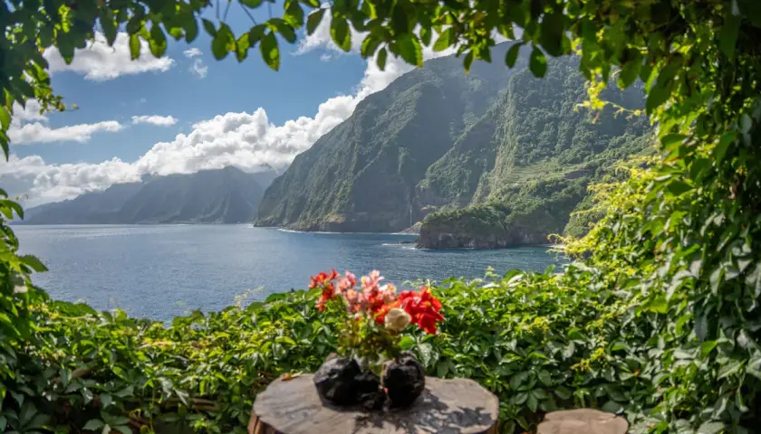 Blumenstrauß auf Baumstamm mit Blick auf die dramatischen Madeira Highlights: steile, grüne Küstenberge und das blaue Meer.