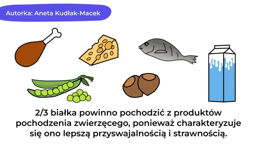 Dieta wysokobiałkowa co jeść? Kurczak, ser, ryba, groch, orzechy i mleko to przykłady produktów bogatych w białko.