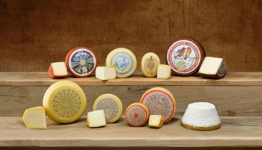 Varietà di formaggi freschi disposti su assi di legno. Alcuni interi, altri a spicchi, con etichette colorate e disegni.