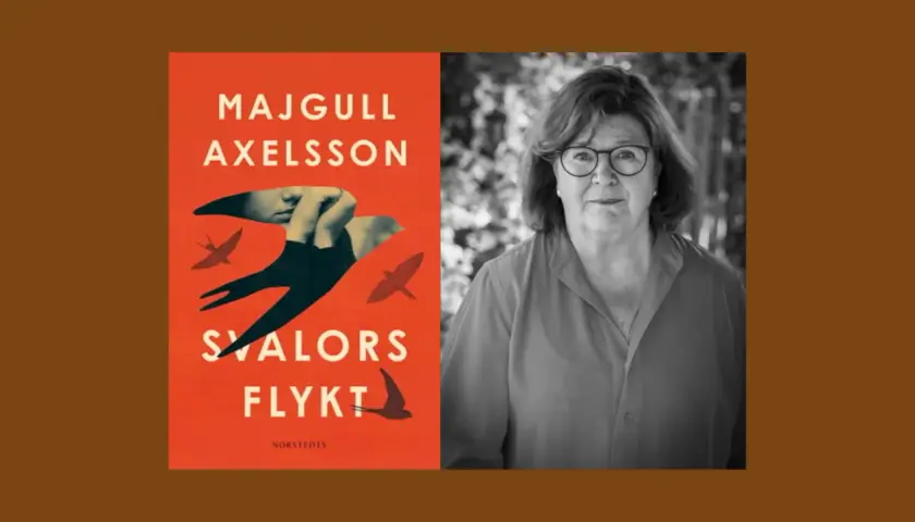 Majgull Axelsson, författaren till "Svalors flykt", porträtterad bredvid bokomslaget.