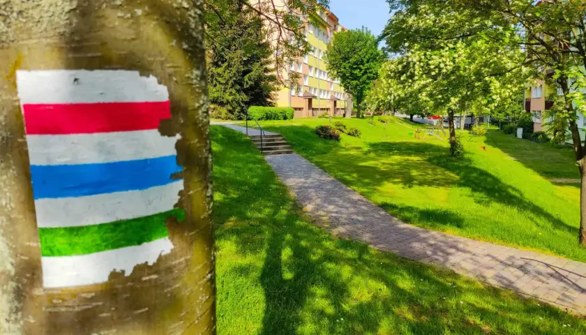 Co oznaczają kolory szlaków rowerowych i jak wpływają na bezpieczeństwo?