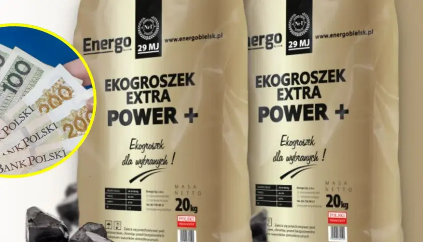 Dwie torby ekogroszku "Energo 29 MJ" i polskie banknoty. Ekogroszek na piec to dobry wybór.