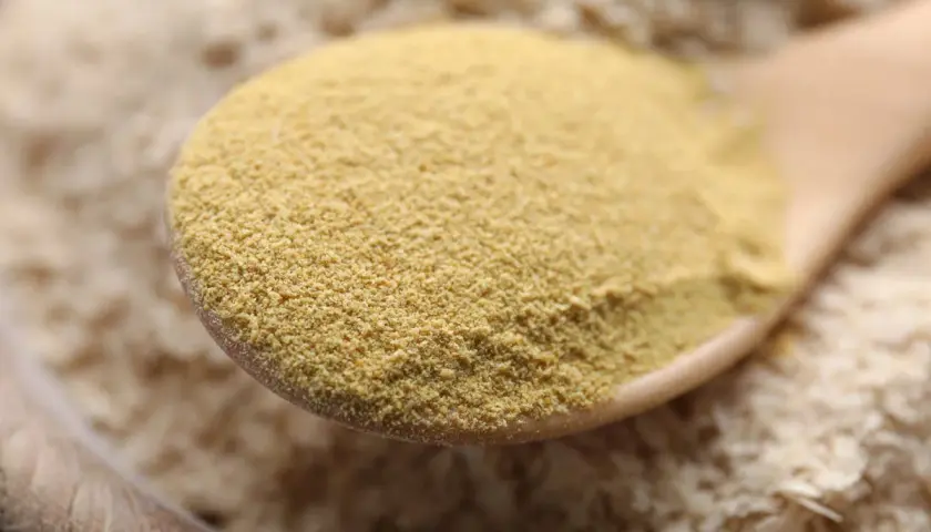 Une cuillère en bois remplie de levure de bière en poudre, jaune pâle. La question "la levure de bière fait elle grossir ?" plane.