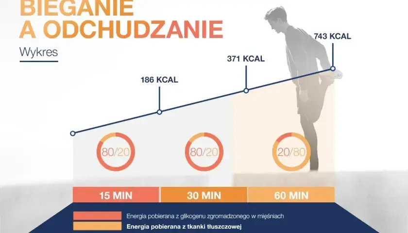 Wykres pokazuje, jak biegać żeby schudnąć: po 15 min spalisz 186 kcal, po 30 min 371 kcal, a po 60 min 743 kcal.