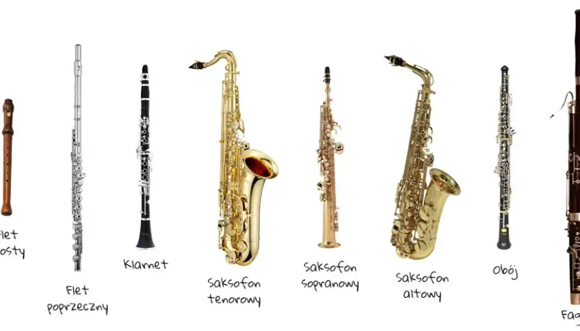 Instrumenty dęte drewniane - rodzaje i charakterystyka brzmienia