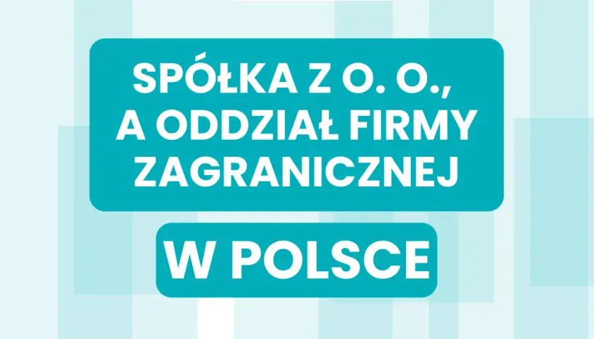 Spółka z o.o. i oddział firmy zagranicznej w Polsce.