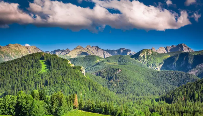 Piękne Tatry, idealne miejsce, gdzie w góry na wakacje w Polsce. Zielone lasy, skaliste szczyty i błękitne niebo.